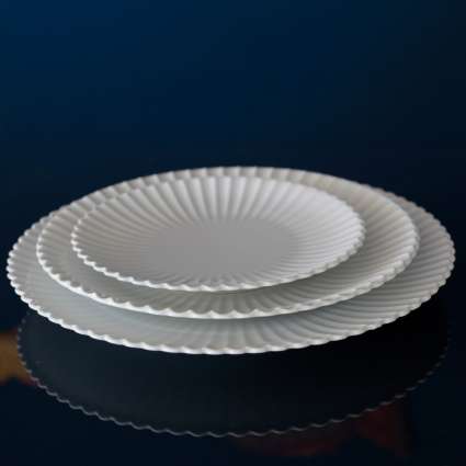 Lotus White porcelain plates with a fluted design